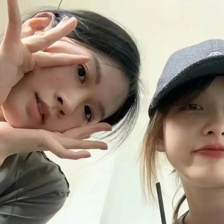 黑赦会 高清封面